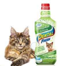 [알티피아] 고양이 덴탈 후레쉬 오리지널 237ml 치약, 선택:선택, 1개