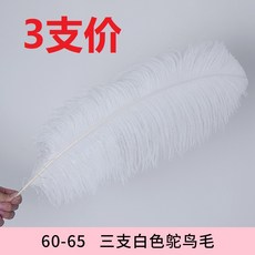 f25c338398708591cfdb1fffd602d045785d0494e18b051b4a019ebfac41.jpg