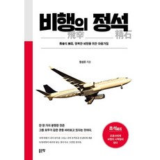 비행의 정석:비행의 정석 행복한 비행을 위한 마음가짐, 좋은땅, 정성조