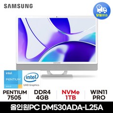 삼성 올인원PC DM530ADA-L25A 사무용 가정용 공간활용 일체형PC