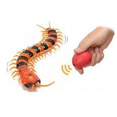 애견과함께하는페라글라이딩