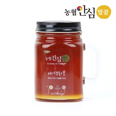 [농협안심벌꿀] 야생화 꿀 500g x 1병, 1개, 단품