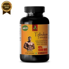 NATURE SUPPLEMENTS 발기제 - 트리불루스 테레스트리스 1000MG 1B 분말, 1개, 60정 - 발기제