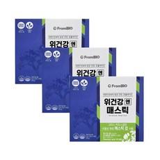 프롬바이오 이병헌 위건강엔 매스틱 30포X3박스 3개월분, 45g, 6개