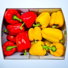야채삼촌 못난이 파프리카 혼합 파프리카 1kg 2KG 5KG, 1개