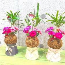 86f58e522a6c89e82a4b7be74ad91d1a7526d8beea22fa3926d996c26fa9.jpg