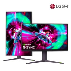 LG전자 울트라기어 32GR75Q 80Cm(32) IPS 평면 QHD 165Hz 게이밍 모니터