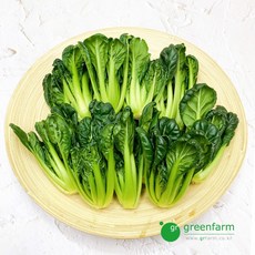 채소비타민