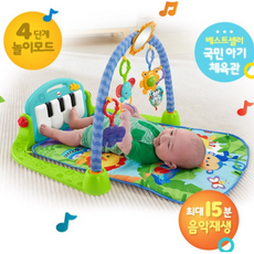 피셔프라이스 피아노 아기 체육관 누워서 엎드려 앉아서 발로차기 4단계 놀이모드 음악모드 0~18개월 휴대간편, 그린 블루톤