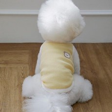 [꼴레트멍멍](_)둥둥이 와플 강아지니트조끼 루앤담