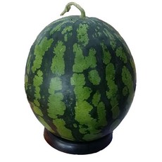 자체브랜드 하우스 노지수박 고당도 수박, 4kg이상, 1개