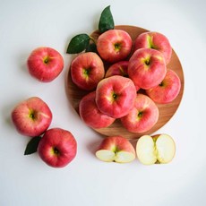 아삭한 빨간사과 실중량 5kg (홍로/부사), 1박스, 빨간사과 한입 5kg(22~30과)