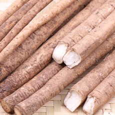 모자농원우엉판매