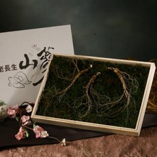 대구새싹인삼주