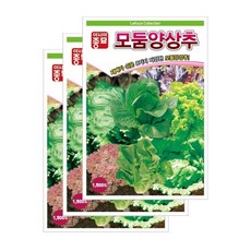 보람농자재 (양상추종자씨앗) 모둠양상추(1 500립x3)