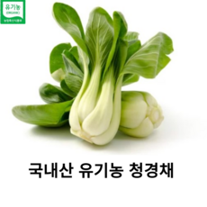 국내산 친환경 유기농 청경재 200g 300g 400g 국산 친환경 싱싱한 청경채 이유식 야채 샐러드 최상급 식재료 채소, 1개