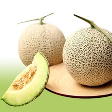 [정성애찬]전라도 머스크메론 2.5kg(2-3수)