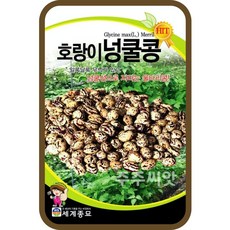주주씨앗 호랑이넝쿨콩 30g / 넝쿨성 콩 씨앗 종자 콩재배 텃밭가꾸기 채소심기, 1개