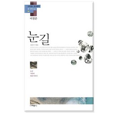 눈길 이청준 - 눈길 서편제 벌레 이야기/사피엔스21
