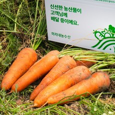 [미리내 농수산] 햇 당근 국내산 흙당근 제주 구좌 당근, 1개, 3kg  [중]