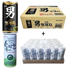 광동 힘찬하루 헛개차 180ml(30캔) + 솔의눈 240ml(30캔), 180ml, 60개