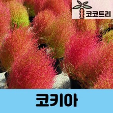 ef79b19f388b9190aa473676e173eab09e95fab4f3e088967230fc9644b2.jpg