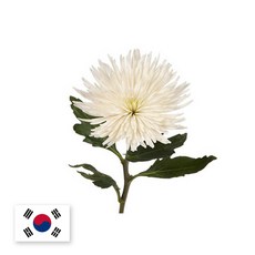 프래그런스오일러브미