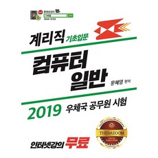 2019 더배움 계리직 컴퓨터일반 기초입문, 고시고시(더배움)