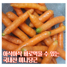 베이비채소1kg