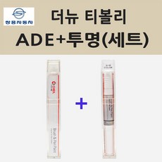 쌍용 더뉴 티볼리 ADE 아이언메탈 주문 붓펜 페인트 + 투명붓펜 8ml