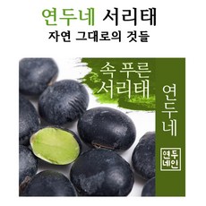 23년 햇 국내산 연두네 서리태 1kg 안면도 검정콩 생콩, 1팩