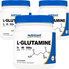 뉴트리코스트 L 글루타민 파우더 블루라즈베리, 3개, 500g