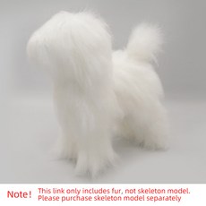 반려동물 시뮬레이션 개 털 전용 연습 표준 그루밍 트리밍 해골과 함께 사용됨, 1개, White