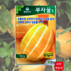 부자꿀참외 참외씨앗 100립/ 참외종자 흥농꿀참외 홈가드닝, 1개