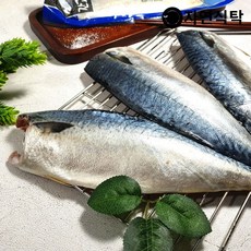 고등어밥상대자
