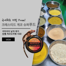 국내최초 키틴 Free 크레스티드 게코 슈퍼푸드 - Crested Gecko Food 귀뚜라미 날개 제거 수제 게코도마뱀 사료 75g, 1개