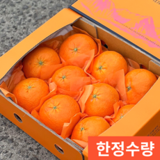 [한정수량] 고당도 천혜향선물세트 제주천혜향, 1박스, 4.5kg 내외