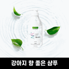 멜라세덤샴푸