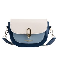 디올카로클러치백