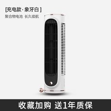파세코타워팬