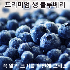 수입산 프리미엄 생 블루베리 생블루베리, 1박스, 생 블루베리 125g*6팩 750g 16-18mm