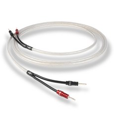 코드컴퍼니쇼라인