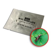 톱다리개미허리노린재