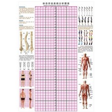 체형교정롤스크린
