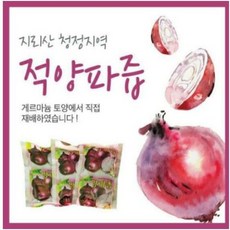 산수원양파즙