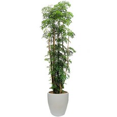 0b42ecd969eceeb61cc1697b377c22fd348b3b9df289d94f4bfe654a41cf.jpg