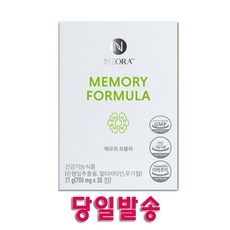 니모오라레귤러