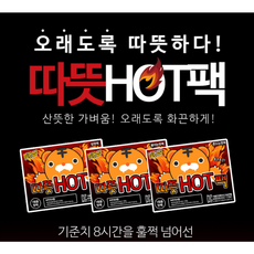 파쉬핫팩 TOP01