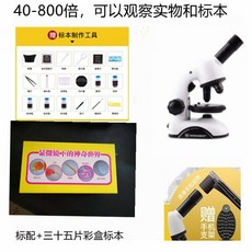 브레서현미경