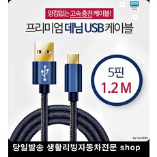 보컬동아리실충전 발레연습실충전 동아리실충전 댄스연습실충전 데님충전선5핀 케이블5핀1.2M, 레드